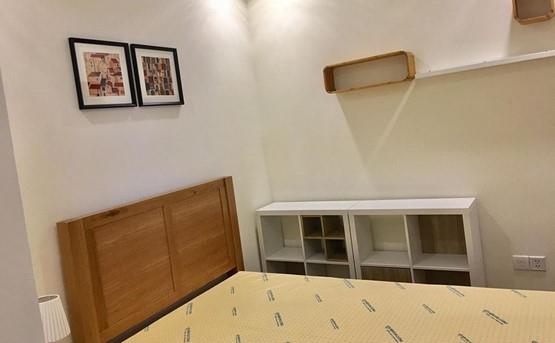 apartment for rent in binh thanh district BT105L5723 (1)